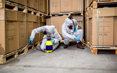 Fumigation Requirements in International Shipping